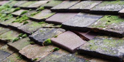 Hatch roof repair costs